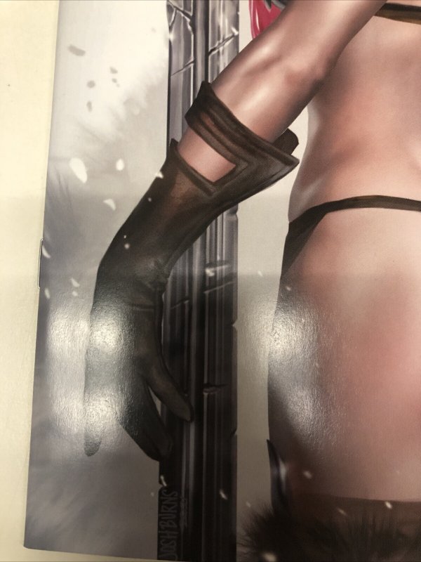 Invincible Red Sonja # 4 Variant (NM) Dynamite Entertainment • Jimmy Palmiotti