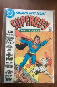 Superboy Spectacular (1980)