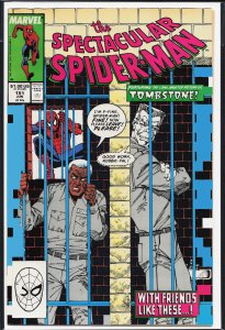 The Spectacular Spider-Man #151 (1989) Spider-Man