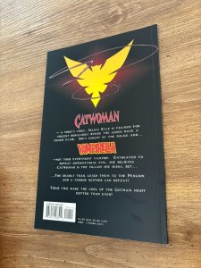Catwoman Vampirella # 1 NM DC Harris Comic Book Graphic Novel 6 J457