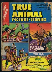 True Animal Picture Stories #2 ORIGINAL Vintage 1947 True Comics Golden Age