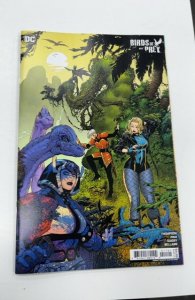 Birds of Prey #11 Melnikov Cover (2024)