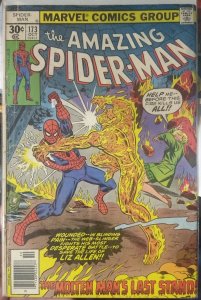 The Amazing Spider-Man #173 (1977)