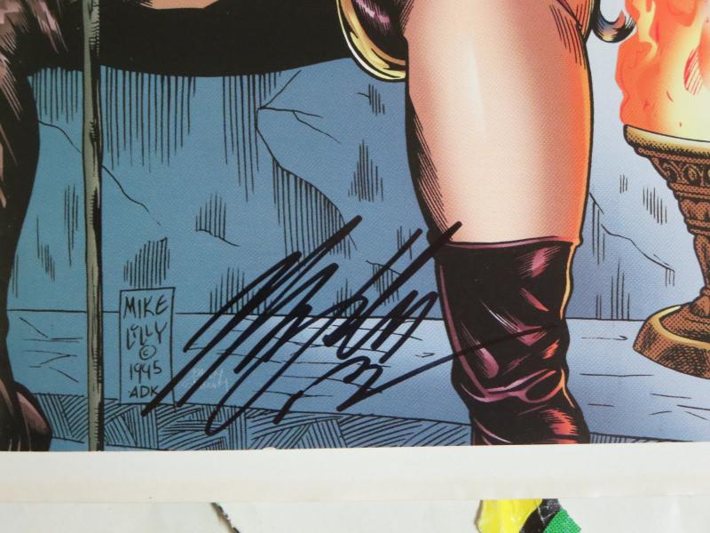 Vamperotica Red Reign #12 (Brainstorm 1995) Signed by Mike Lily His First Work!