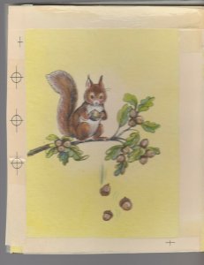 HAPPY BIRTHDAY Cute Squirrel Dropping Acorns 6.25x8 Greeting Card Art #B1137