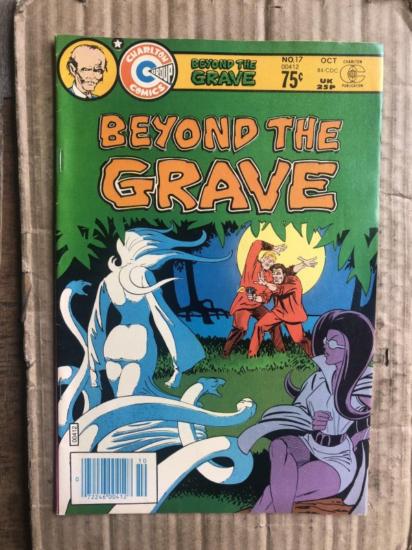 Beyond the Grave #17 (1984)