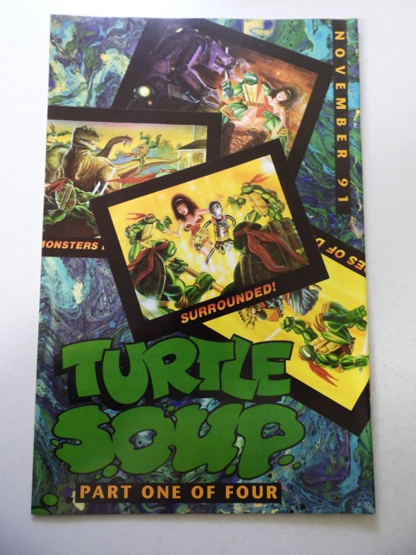 Teenage Mutant Ninja Turtles #40 (1991) FN/VF Condition