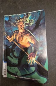 Aquaman #48 Variant Cover (2019)