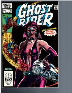 Ghost Rider #75 (1982)