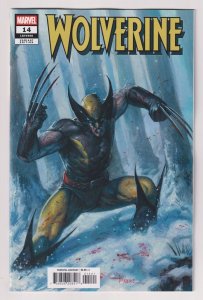 Wolverine #14 Paratore Variant (Marvel, 2026) NM