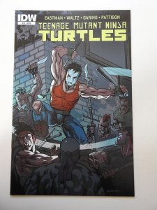 Teenage Mutant Ninja Turtles #52 Cover A (2015)