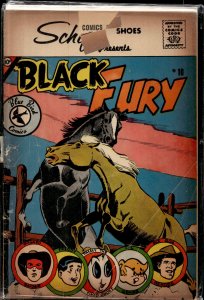 Black Fury #3 Black Fury