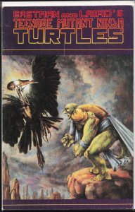 Teenage Mutant Ninja Turtles #36 (1991)