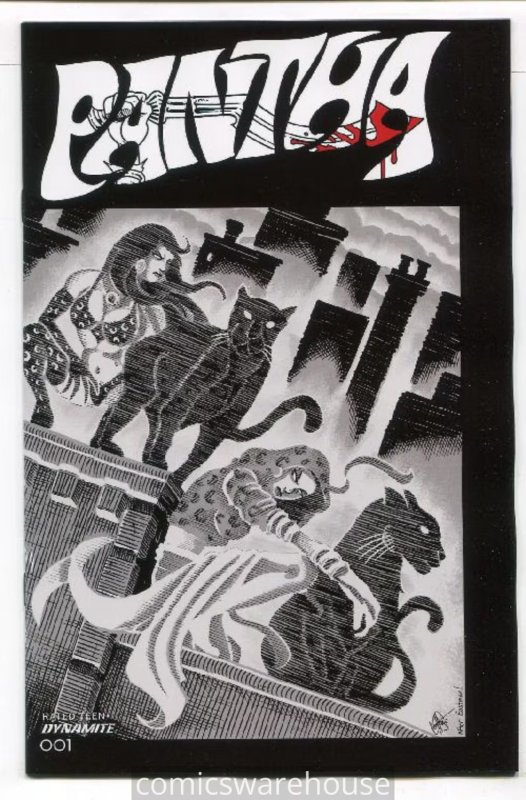 PANTHA (2021 DYNAMITE) #1 VARIANT 1:11 CVR S TMNT HOMAGE HAESER LINE ART G16020