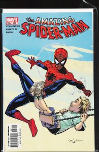 The Amazing Spider-Man #502 (2004)