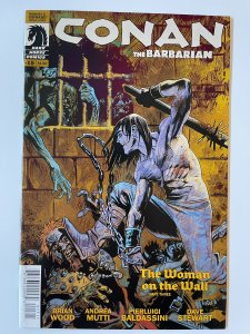 Conan the Barbarian #15 - NM (2013)