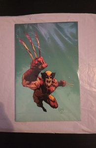 Wolverine #37 Capullo Virgin Cover (2023) sealed