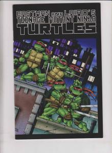 Teenage Mutant Ninja Turtles Color Special #1 VF/NM printing eror version TMNT