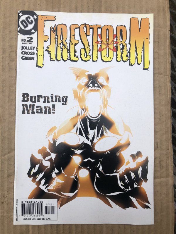 Firestorm #2 (2004)