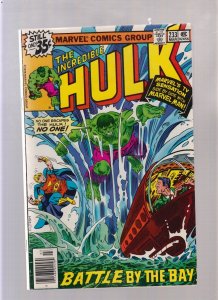 Incredible Hulk #233 - Newsstand  (VF-) 1979