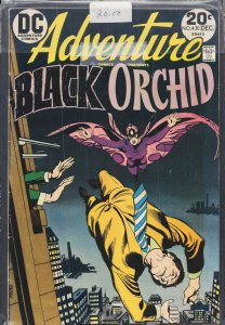 Adventure Comics #430 (1973) Black Orchid