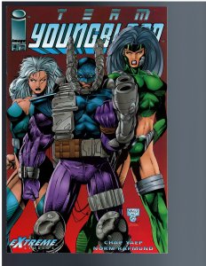 Team Youngblood #4 (1993)