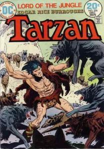 Tarzan (DC) #226 FN; DC | save on shipping - details inside