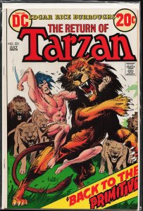 Edgar Rice Burroughs' Tarzan #221 (1973)