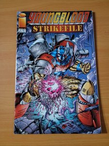 Youngblood Strikefile #7 ~ NEAR MINT NM ~ 1994 Image Comics