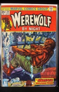 Werewolf by Night #20 (1974)