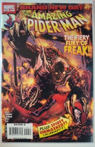 The Amazing Spider-Man #554 (2008)