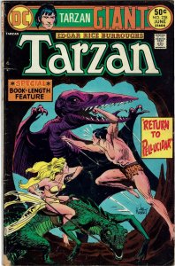 Tarzan #238 DC Comics Joe Kubert FN