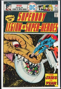 Superboy #213 (1975)