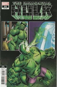 Immortal Hulk # 35 Variant Cover NM Marvel 3rd Print Al Ewing Alex Ross [C4]
