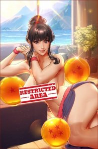 Chi Chi Dragon Ball Z Cosplay 5 Book Set by Bearwitch BooKoo Bear Babes