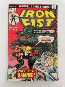 Iron Fist # 2 FN/VF Marvel Comic Book Danny Rand Power Man Heroes Hire 25 J245