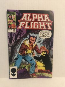 Alpha flight #13