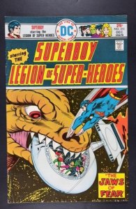 Superboy #213 (1975)