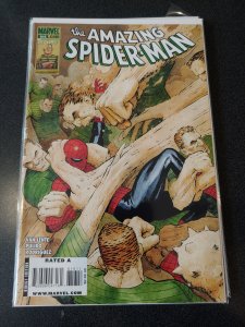 Spider-Man #80 (2011)