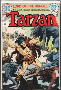 Edgar Rice Burroughs' Tarzan #226 (1973)
