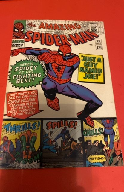 The Amazing Spider-Man #38 (1966) the guy named joe