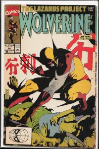 Wolverine #28 (1990) Wolverine