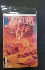 The Flash #13 (2024)