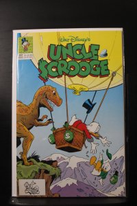 Uncle Scrooge #257 (1991)