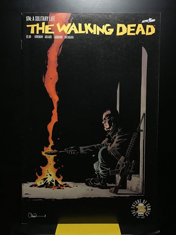 The Walking Dead #174  (2017)