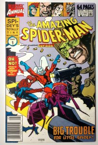 The Amazing Spider-Man Annual #24 (8.0-NS, 1990)