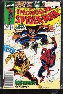 The Spectacular Spider-Man #161 (1990) Spider-Man