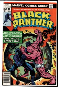 Black Panther #10 (1978) Black Panther
