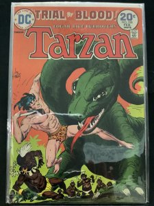 Tarzan #228 (1974)