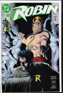 Robin #5 (1991)